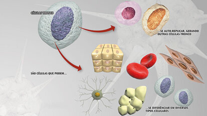 Cellule staminali in odontoiatria implantare