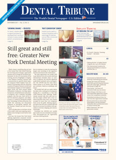 DT U.S. No. 11, 2017