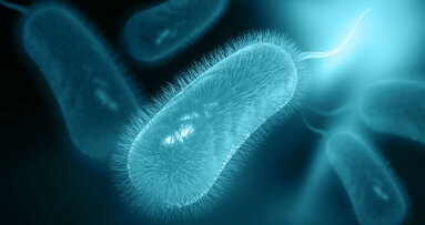 Helicobacter Pylori e cavità orale: una strada a doppio senso?