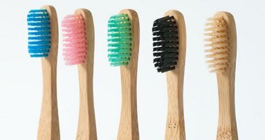 Tested and Reviewed, Part 3: The Bam & Boo toothbrush