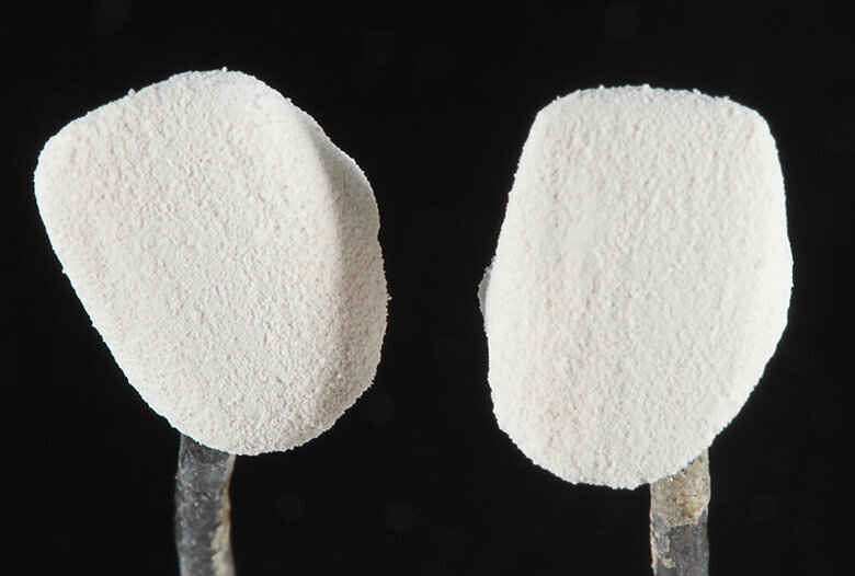 Fig. 7. Para la cocción 
