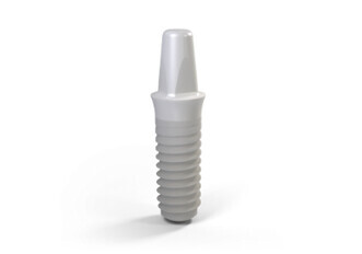 Straumann PURE Ceramic Implant Monotype
