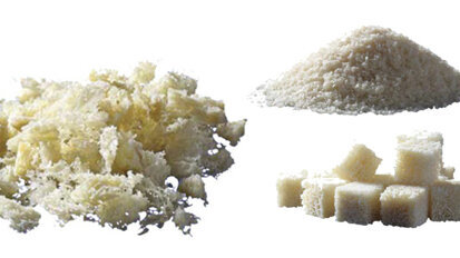 Biological allograft products applied to dentistry