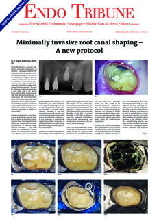 Endo Tribune Middle East & Africa No. 2, 2019