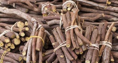 Zoethout beschermt tegen tandbederf