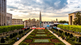 Dentex Brussels 2018
