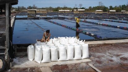 Fluoration du sel iodé au Laos