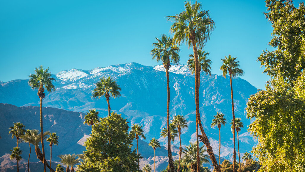 ICOI Winter Implant Symposium 2027