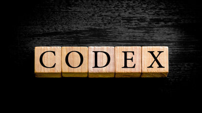 DGZMK verabschiedet Codex der Zahnärzteschaft