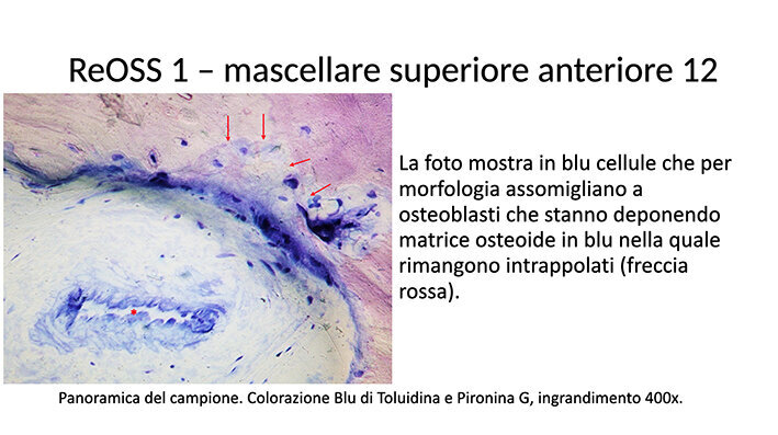 Fig. 29