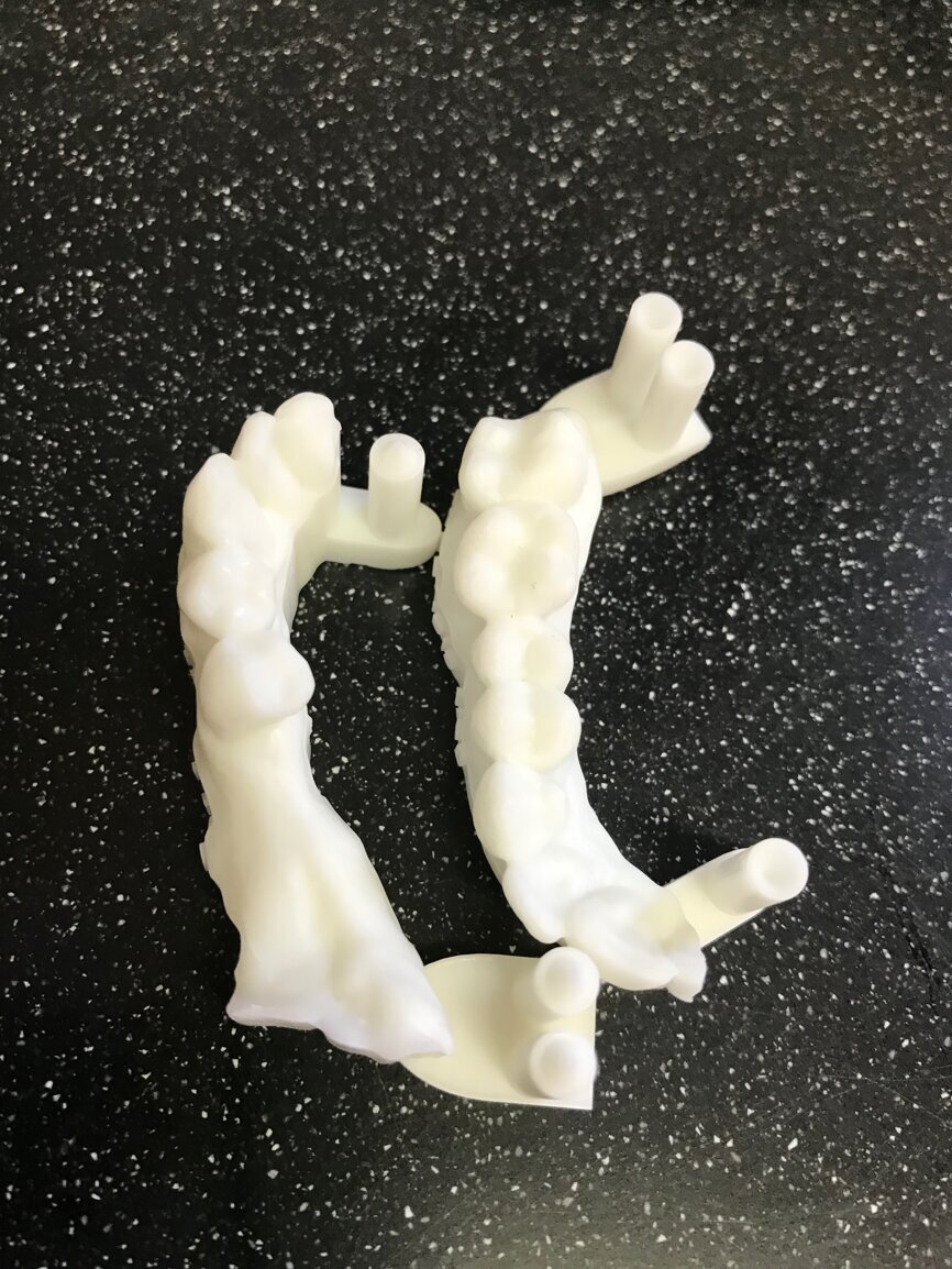 Fig. 2: Printed models.