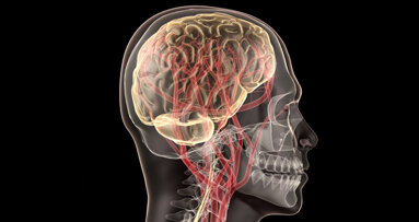 Fluorid negativ für neurologische Entwicklung?