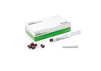 GuttaFlow® bioseal (ROEKO)