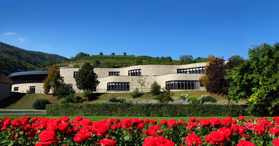Danube Private University