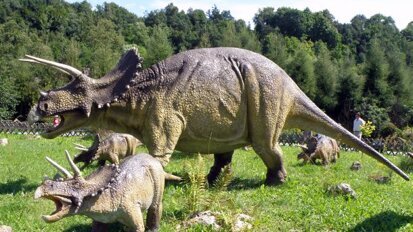 Triceratops had bijzonder modern gebit