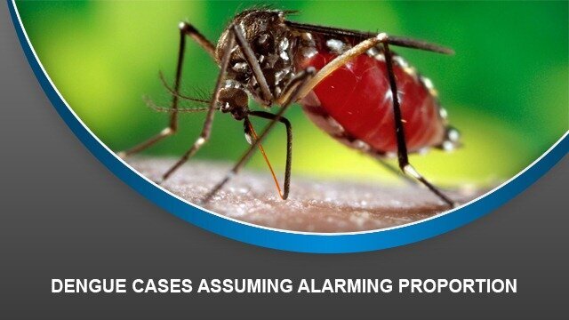 Dengue cases assuming alarming proportion