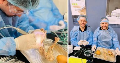 Cursos sobre innovación tecnológica y su aplicación clínica