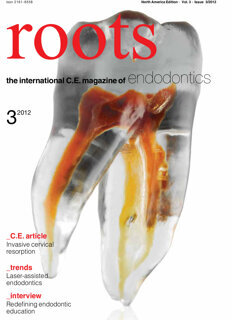 roots C.E. No. 3, 2012