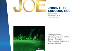 Journal of Endodontics publishes proceedings of pulp biology and regeneration symposium