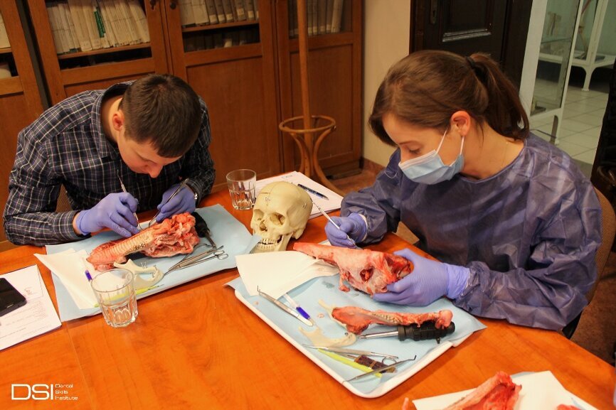 anatomia