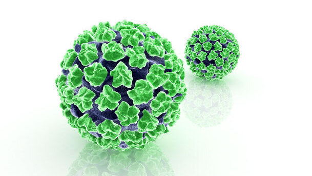 Kopf-Hals-Tumore: Papillomavirus begünstigt Heilung