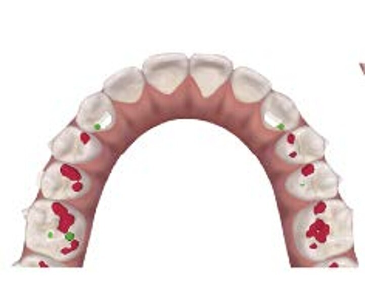 Fig. 8