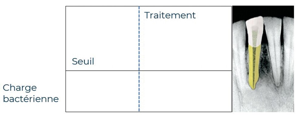 Fig. 2 : Illustration de la notion de seuil décrite par Siqueira et coll. 3 Ce seuil est dépendant de la charge bactérienne d’une part, et de la qualité de la défense de l’hôte d’autre part. 