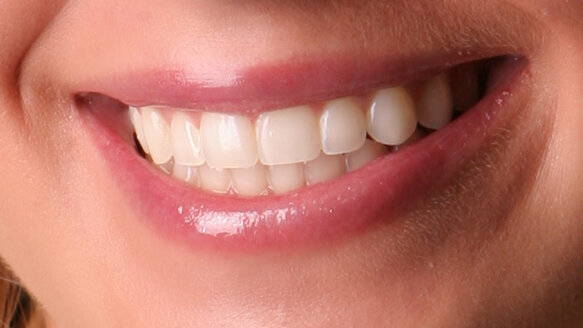 Dental school researchers isolate steps in enamel formation
