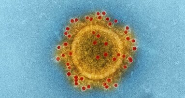 “El coronavirus nos ha mostrado nuestra vulnerabilidad”