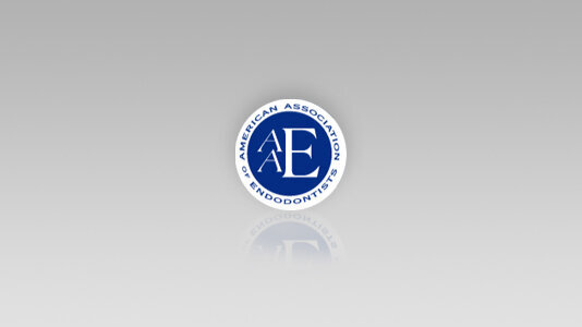 AAE board supports political advocacy