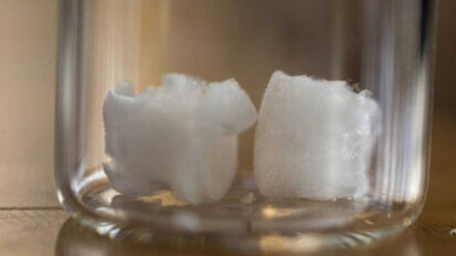 La cellulose végétale / un nouveau matériau osseux de comblement .