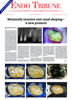 Endo Tribune Middle East & Africa No. 2, 2019