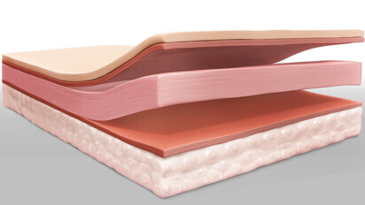 AmnioExcite placental membrane