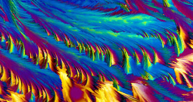 Breakthrough in tooth-tissue engineering announced