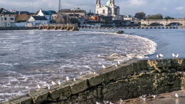 IDHA Annual Winter Scientific Conference 2018