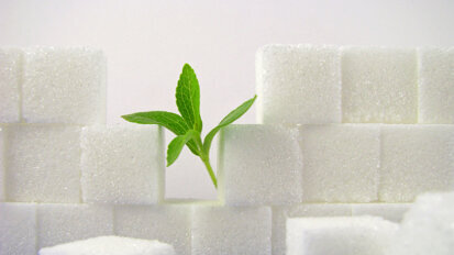 EU-Zulassung von Stevia?