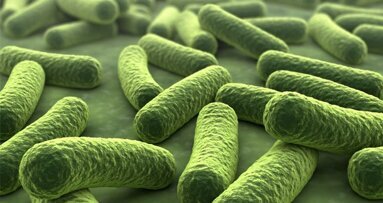 Wie können Karies verursachende Bakterien im Zahnbelag überleben?