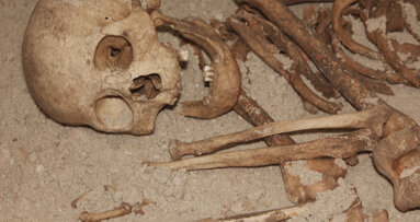 Cálculo dentário indica consumo de plantas na dieta Neandertal