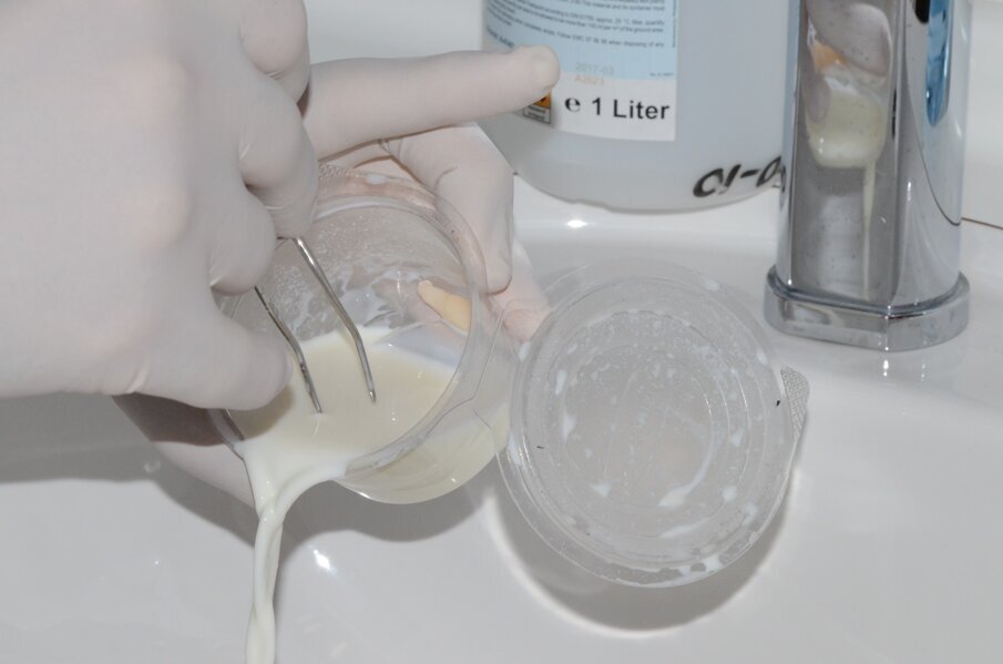 Figure 3: Storage medium of 21 was milk. The “wet time” was 50 minutes