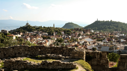 Medicus, Dento, Galenia