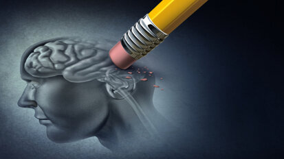 Lien entre un agent pathogène bucco-dentaire et une neuropathologie de type Alzheimer