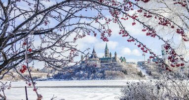 Canadian oral-health associations support consideration of national dental care