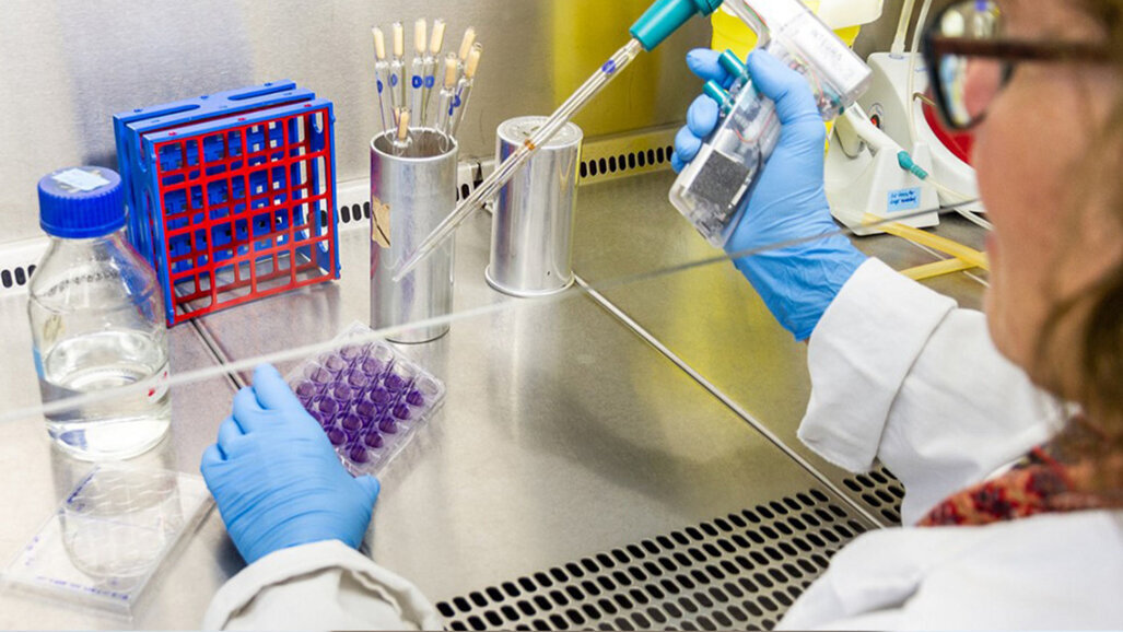Mit gentechnisch veränderten Herpes-Viren gegen Tumorzellen