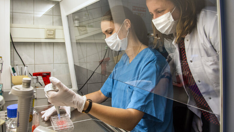 Knochenregeneration, die der echten Physiologie des Knochens nahe kommt