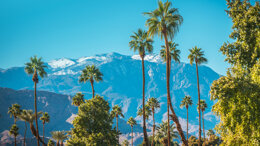ICOI Winter Implant Symposium 2027