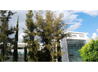 Una facultad que es un referente de calidad internacional