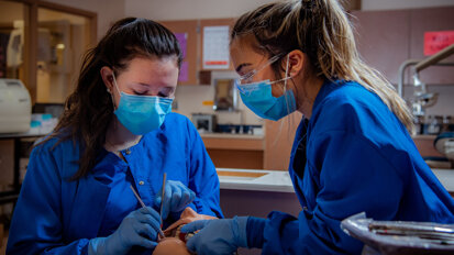 US dental school applicant numbers reach decade high