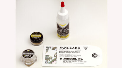 The Vanguard System