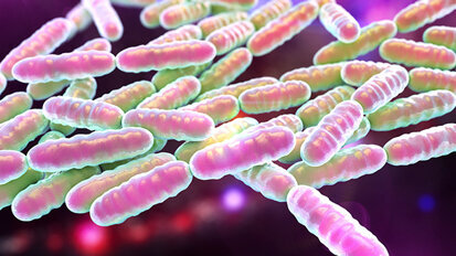 I probiotici “prodotti per la vita” e valido supporto per la prevenzione