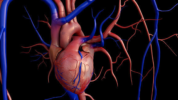 Rise in endocarditis despite antibiotics guidelines for dentists